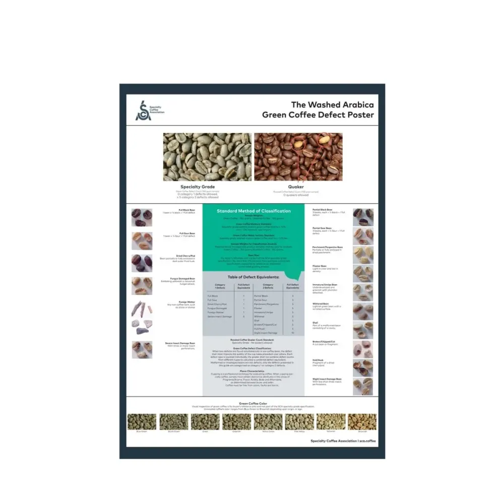 Arabica Juliste - Englanti - SCA