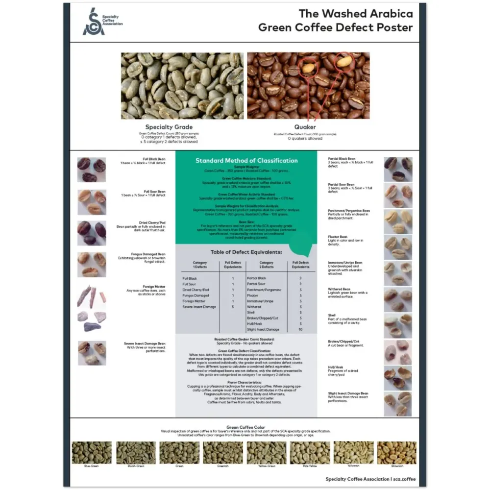 Arabica Juliste - Englanti - SCA
