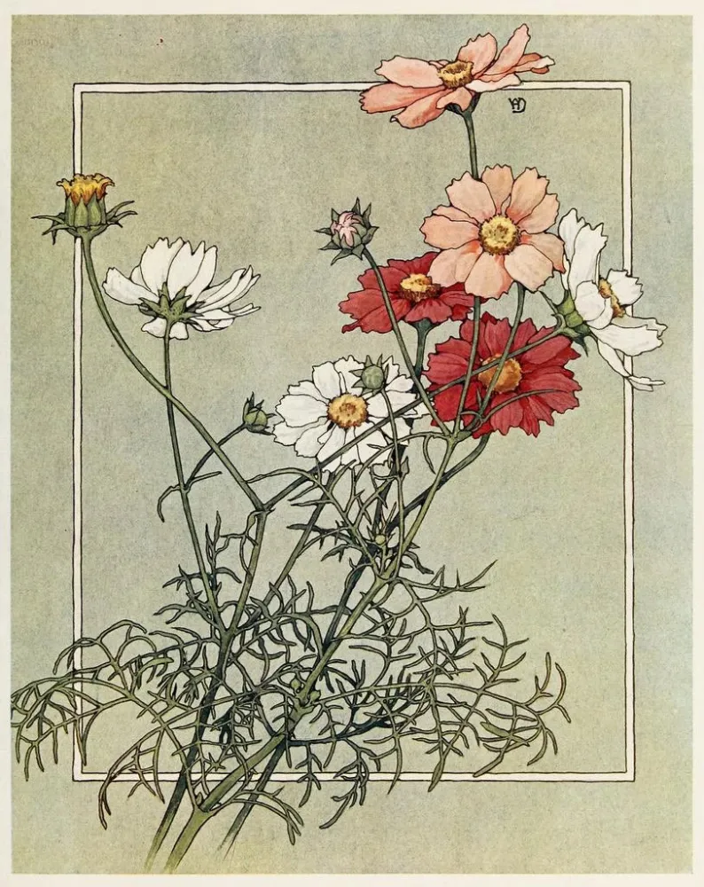 Cosmos-maalaus - Alice W. Donaldson | Taidetuloste