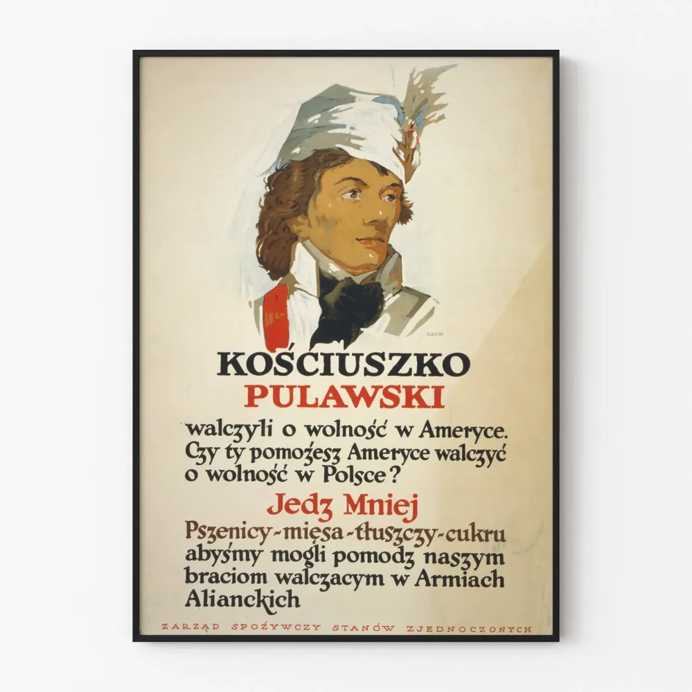 Historiallinen juliste Kościuszko Pulawski - Vintage-patriotinen seinäkoristelu