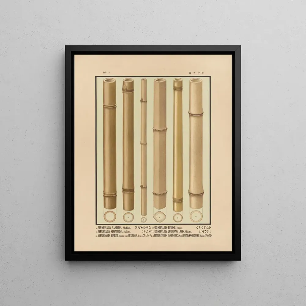 Japanin bambuikoneiden taidetuloste Pl14 - Yasuyoshi Shirasawa | Taidetuloste
