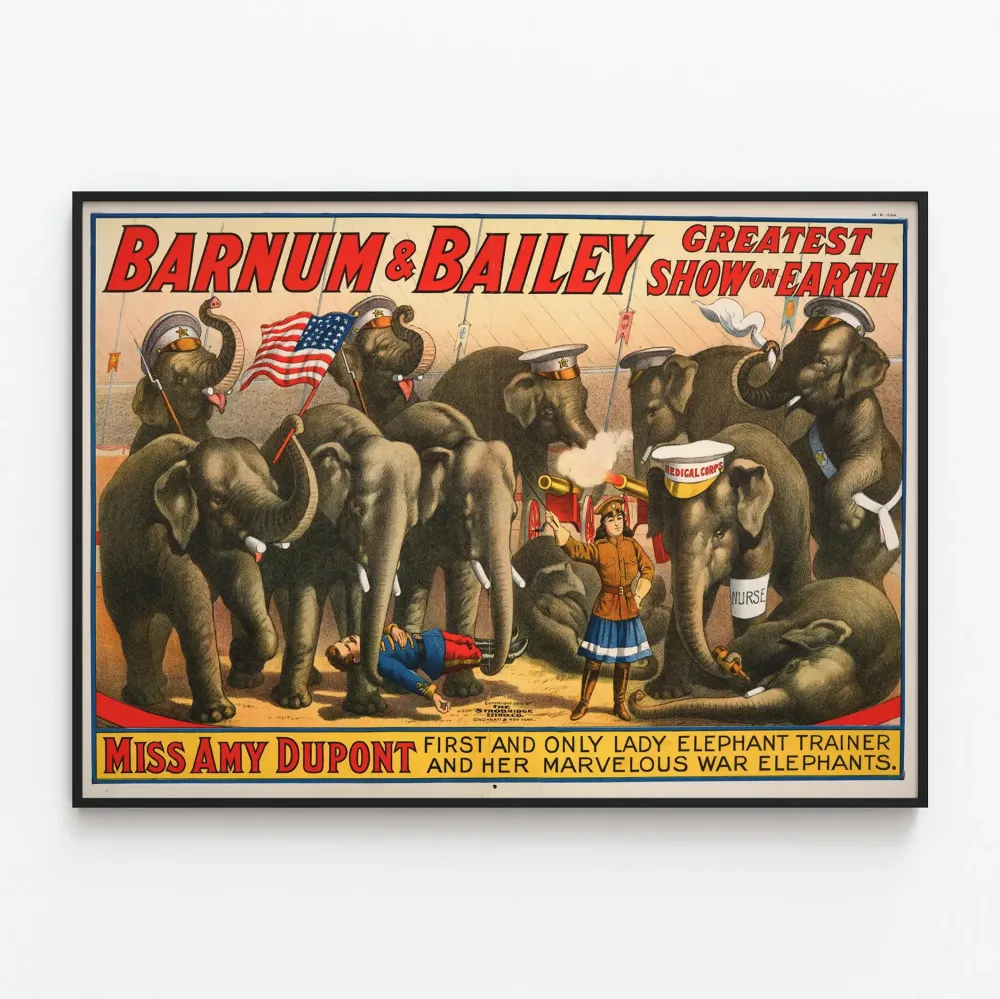 Juliste Barnum & Bailey sirkus ja norsut sekä Miss Amy Dupont