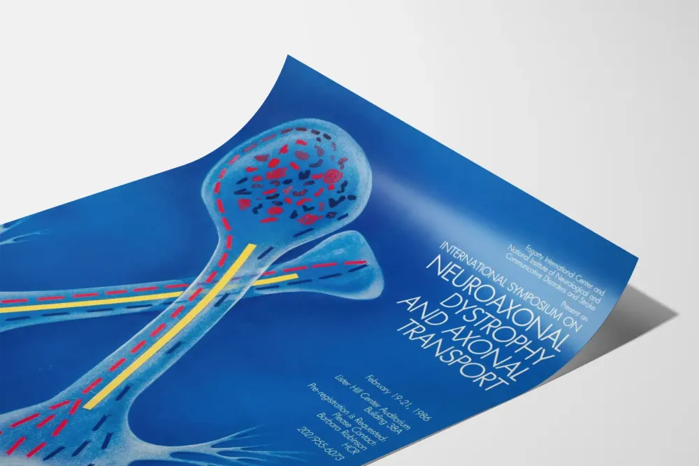 Kansainvälinen juliste neuroaksonisen dystrofian ja aksonisen kuljetuksen symposiumista