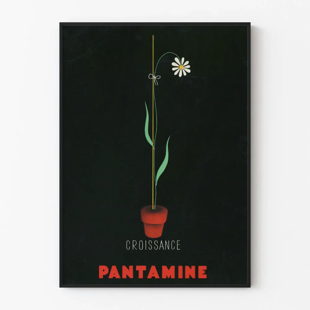 Koristejuliste vintage Pantamine Kasvu