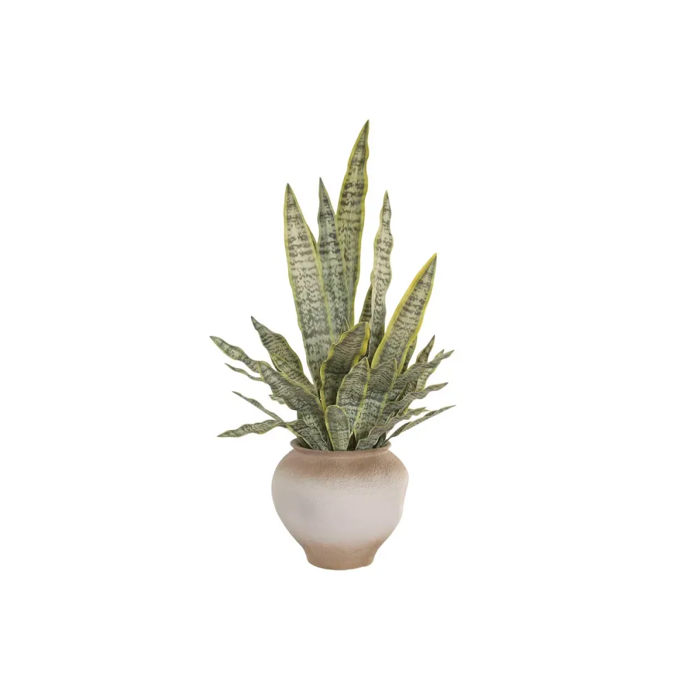 Koristekasvi Home ESPRIT Polyetyleeni
