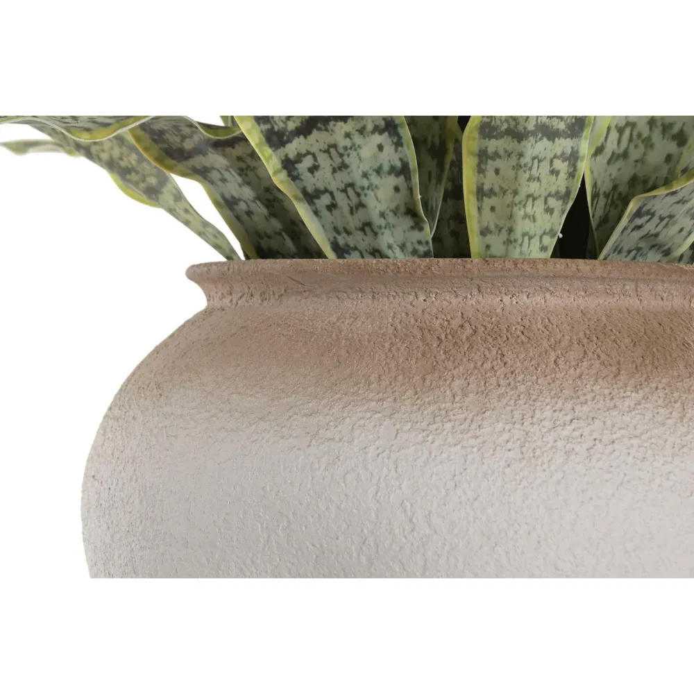 Koristekasvi Home ESPRIT Polyetyleeni