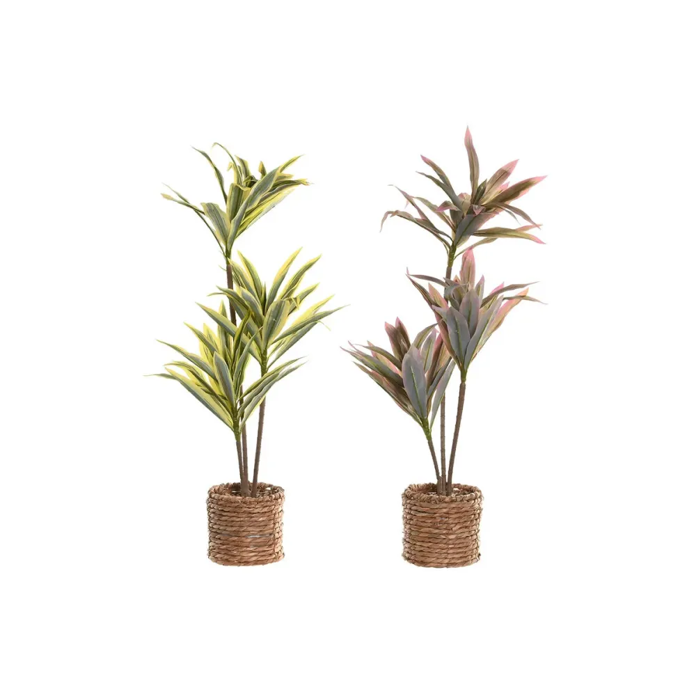 Koristekasvi Home ESPRIT Polyetyleeni Kuitu 30 x 30 x 75 cm (2 osaa)