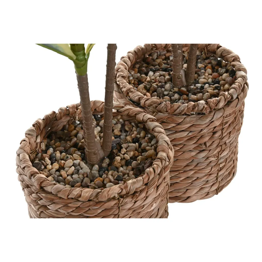 Koristekasvi Home ESPRIT Polyetyleeni Kuitu 30 x 30 x 75 cm (2 osaa)