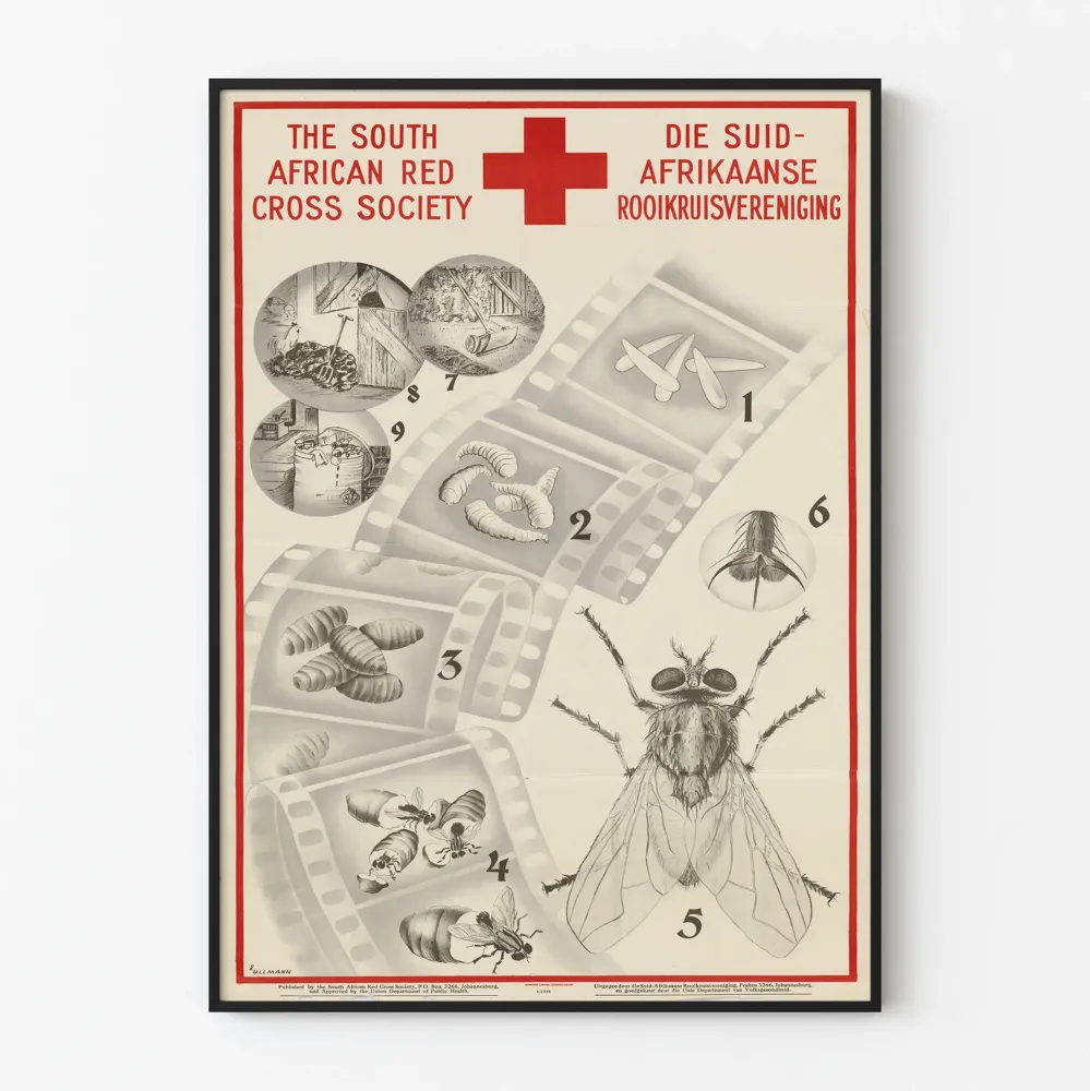 Koulutusjuliste vintage - Hyönteisen elinkierto Etelä-Afrikan Punaisen Ristin yhteisön toimesta