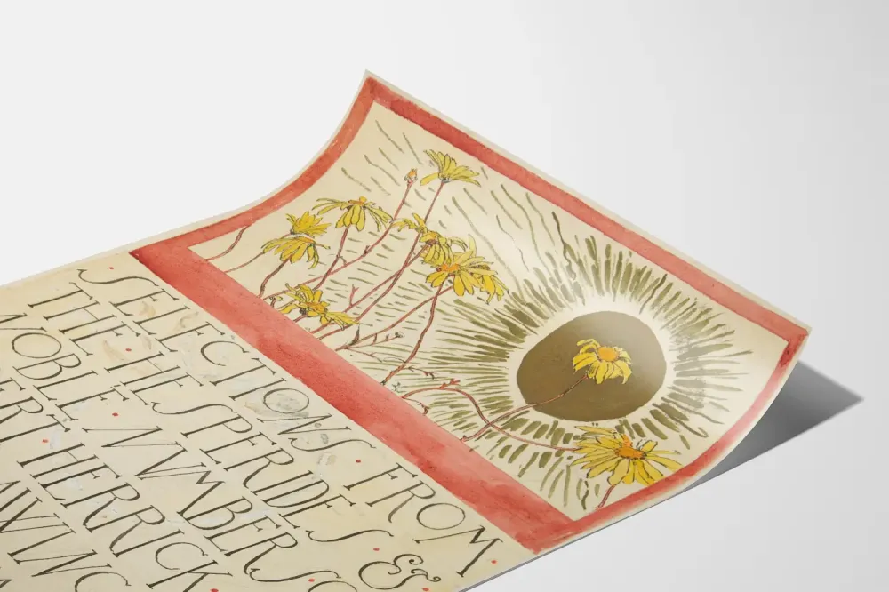 Kuvitusjuliste kasvitieteellisestä ja klassisesta kalligrafiasta