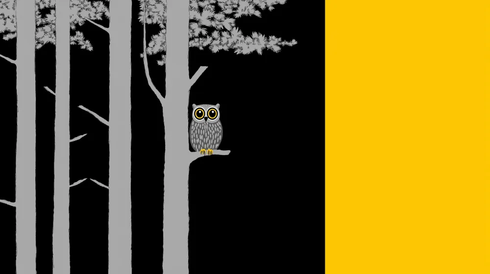 Lastenhuoneen tapetti | Utelias pöllö yksivärisessä metsätaustassa