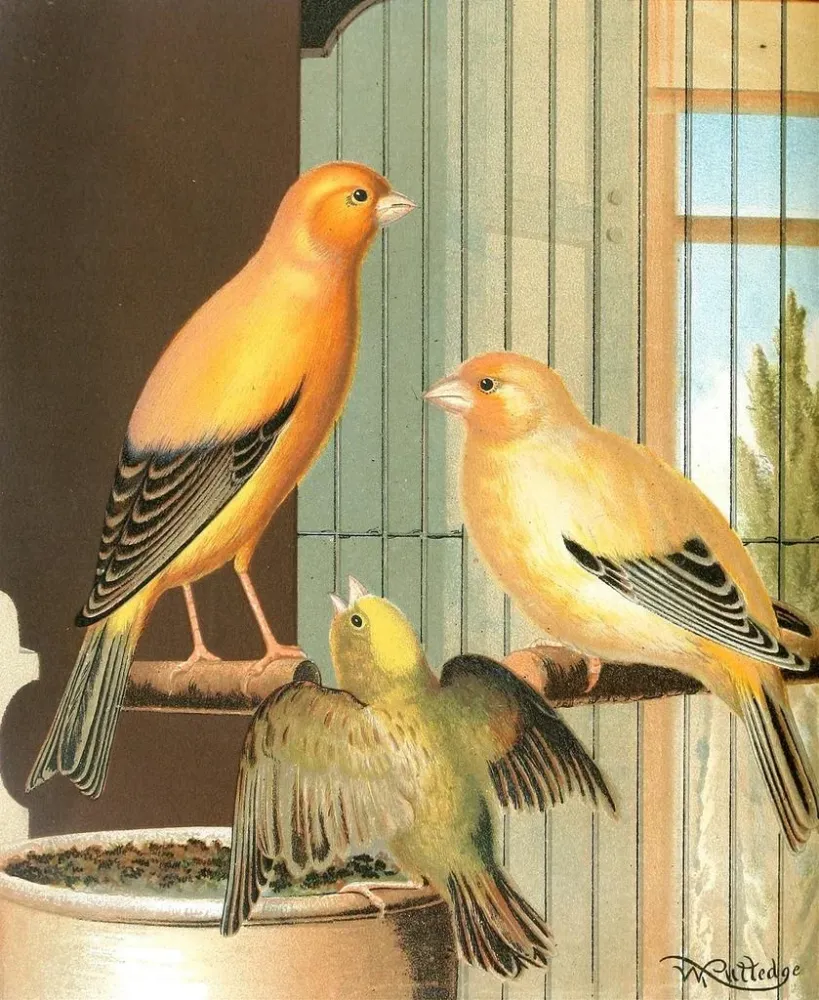 Lontoon Canaris-maalaus - W. . Blakston | Taidetuloste