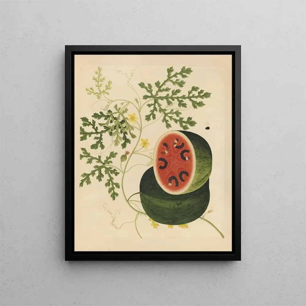 Maalaus Album d'aquarelles chinoises de fruits asiatiques Pl15 - Anonyme | Taidetuloste
