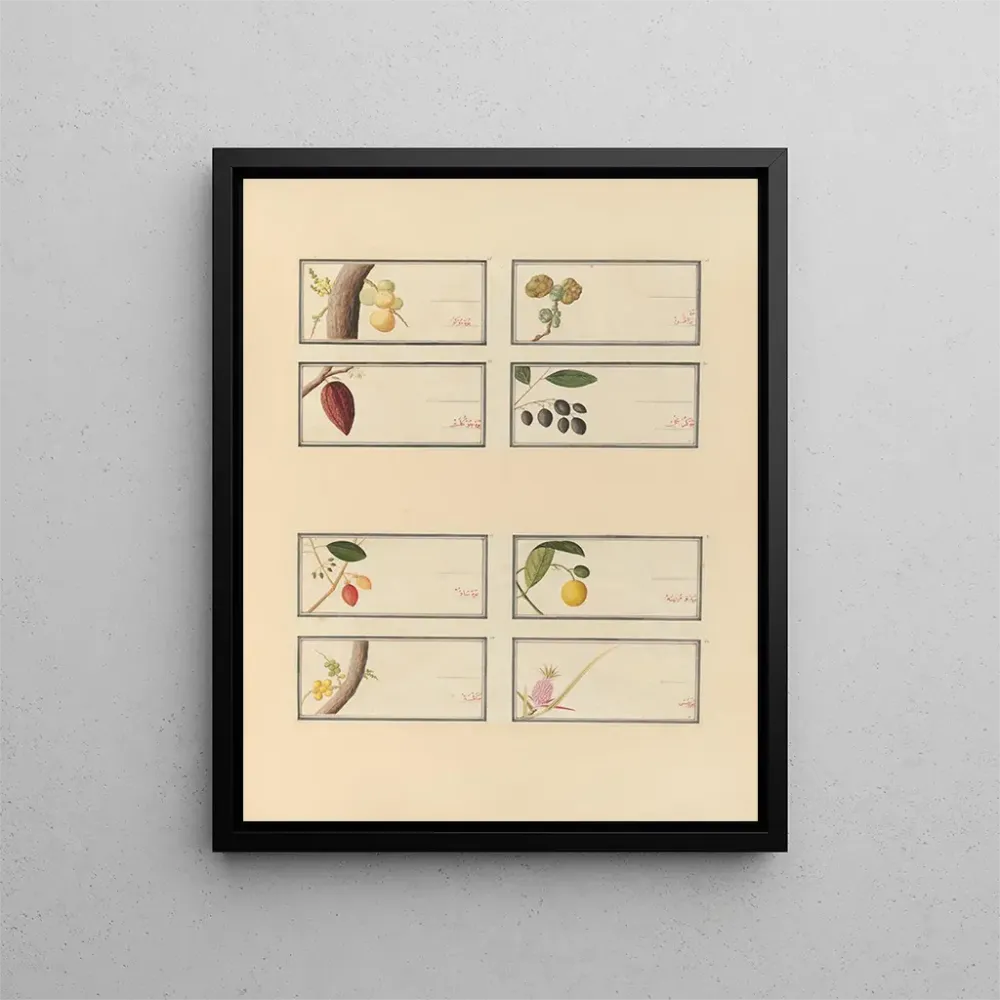 Maalaus Album d'aquarelles chinoises de fruits asiatiques Pl26 - Anonyymi | Taidetuloste