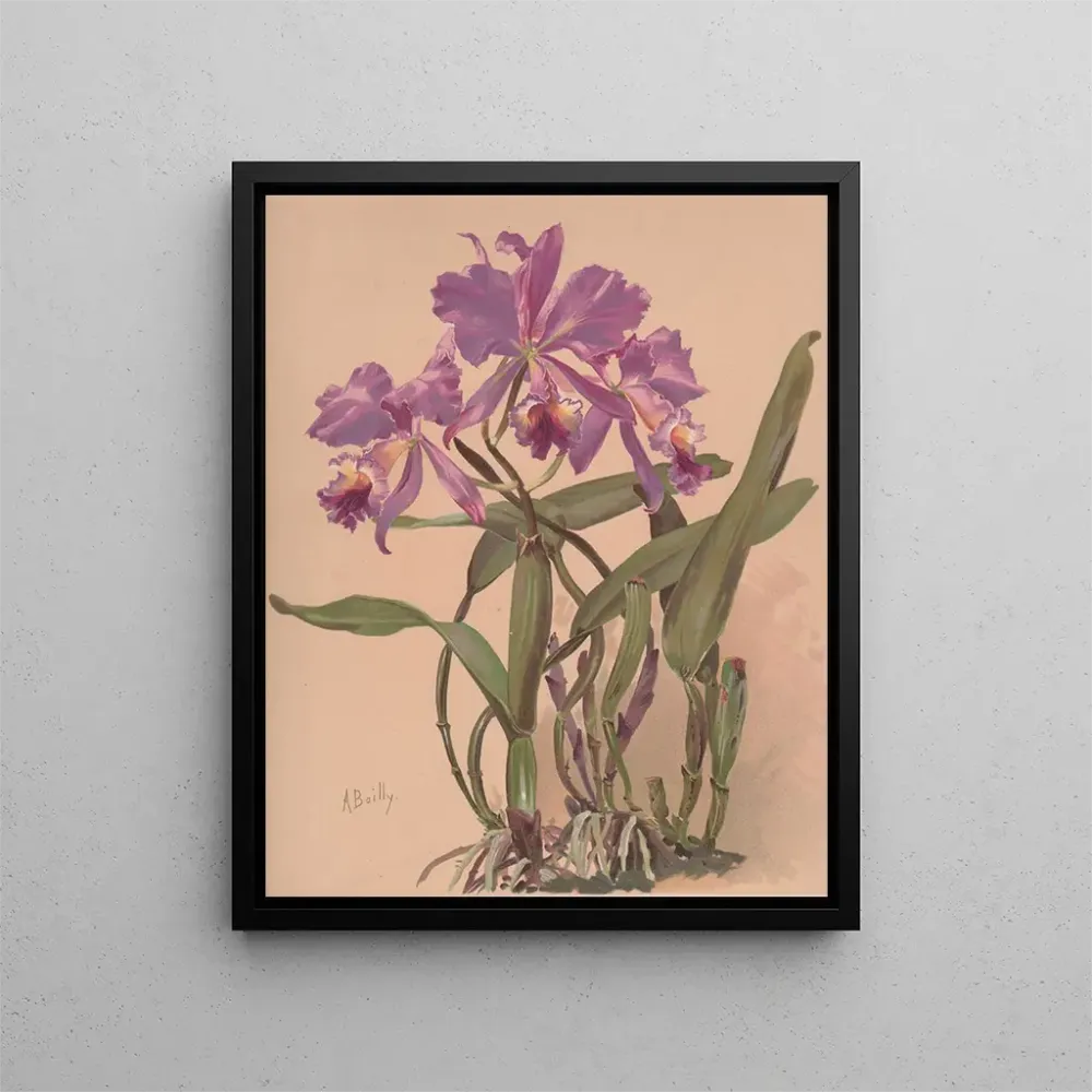 Maalaus Aquarelle d'une orchidée du genre Cattleya - Alice Bailly | Taidetuloste