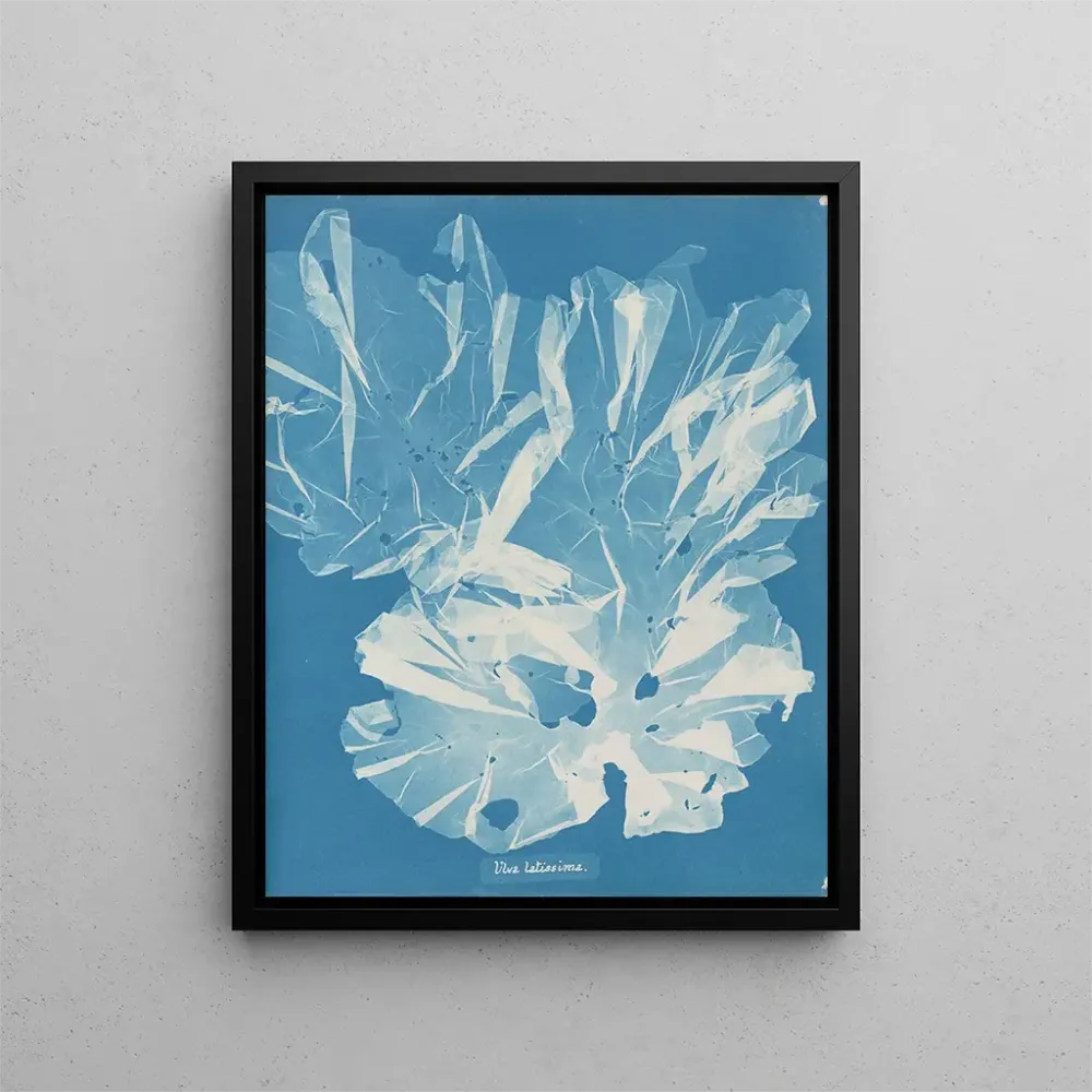Maalaus Un arbre très large - Anna Atkins | Taidetuloste