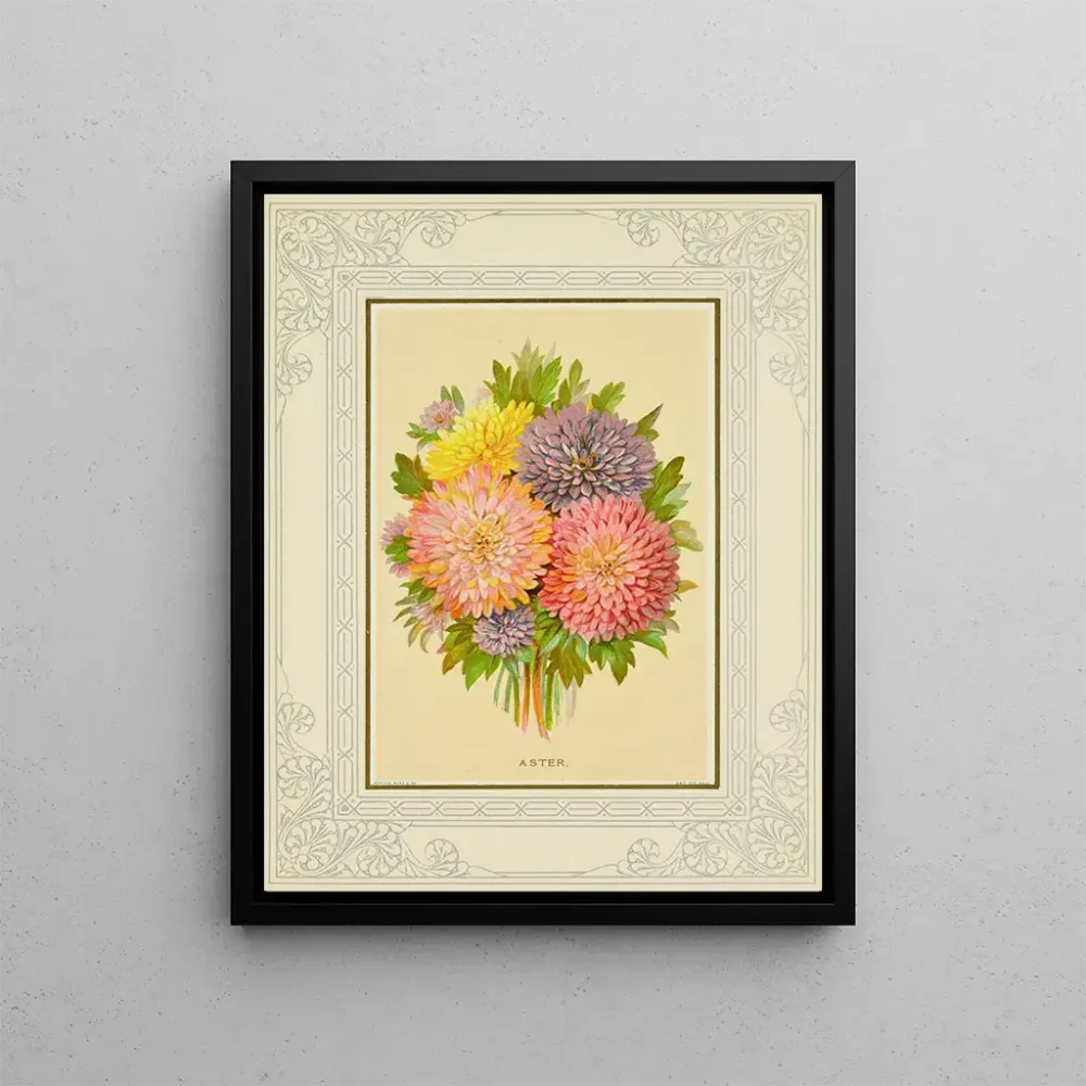 Maalaus Aster - Marcus Ward & Co. | Taidetuloste