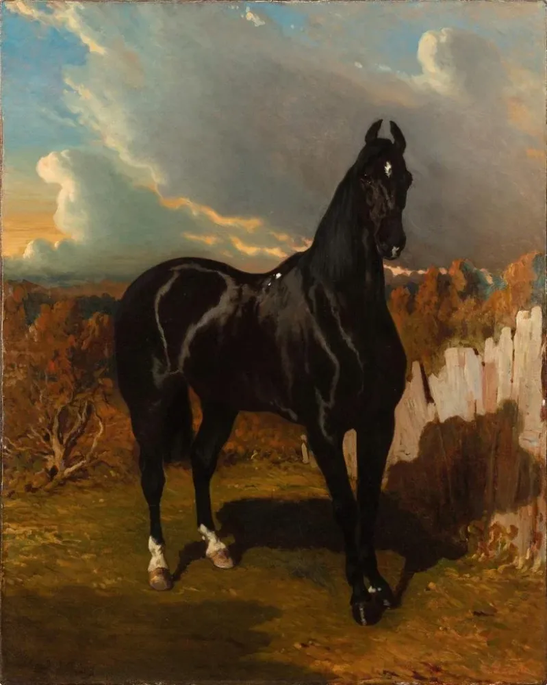 Maalaus Chevalier noir - Alfred de Dreux | Taidetuloste