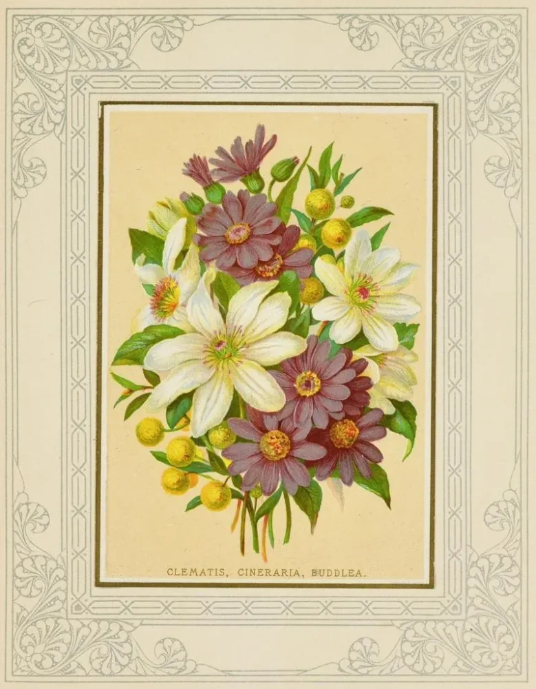 Maalaus Clématite, cineraria, buddleia - Marcus Ward & Co. | Taidetuloste