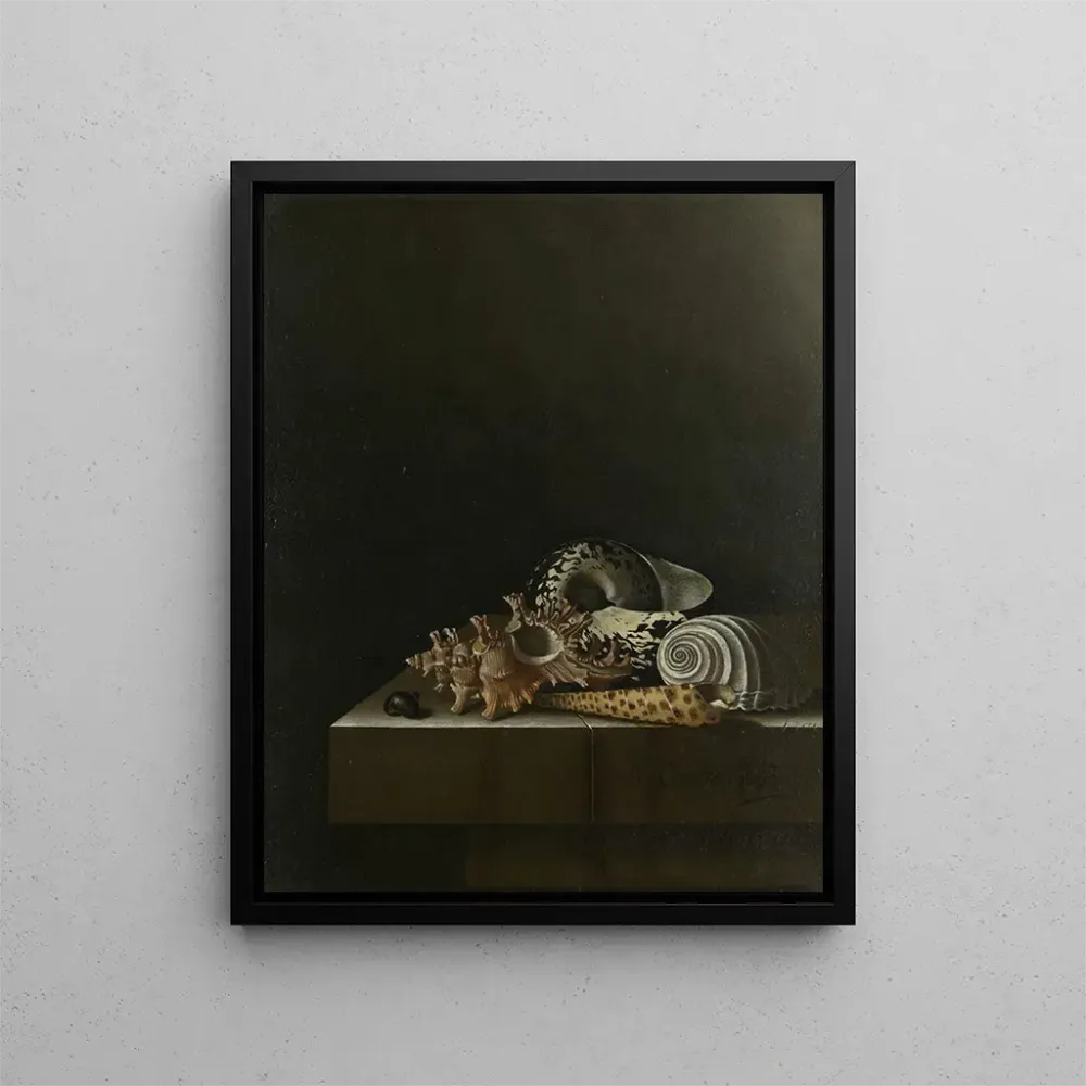 Maalaus Coquillages sur un socle en pierre - Adriaen Coorte | Taidetuloste