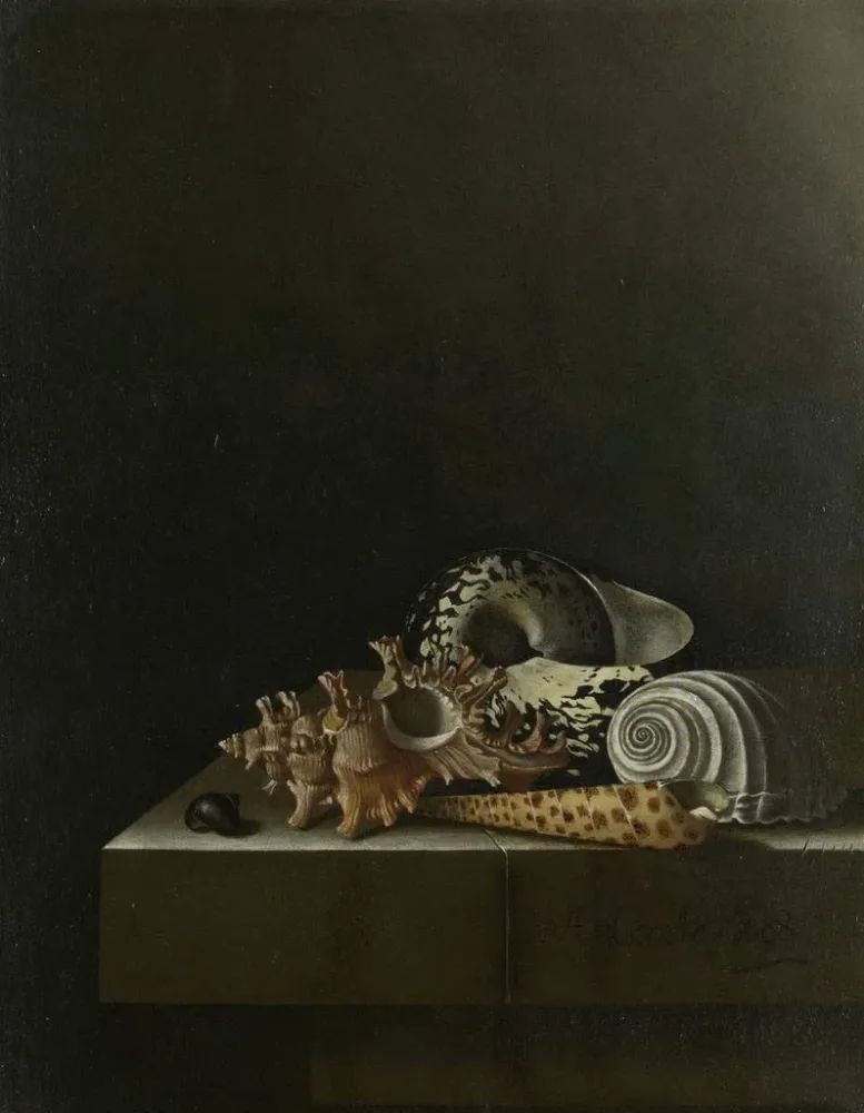 Maalaus Coquillages sur un socle en pierre - Adriaen Coorte | Taidetuloste