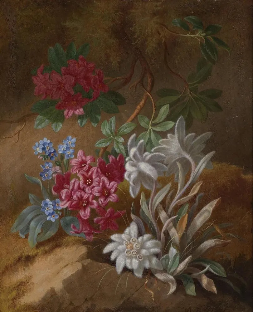 Maalaus Fleurs des Alpes - Adèle Schuster | Taidetuloste