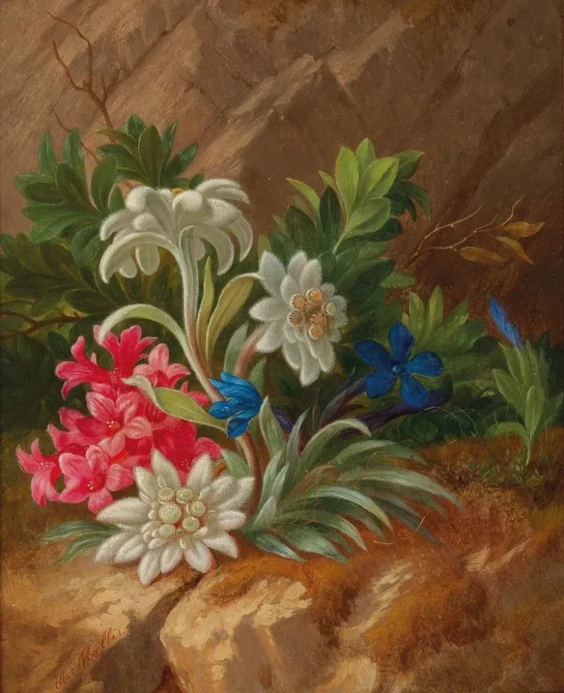 Maalaus Fleurs des Alpes - Anton Mollis | Taidetuloste