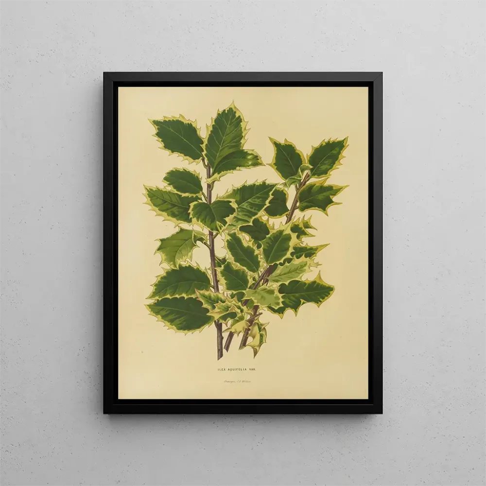Maalaus Flore hollandaise et Pomone 18 - Abraham Jacobus Wendel | Taidetuloste