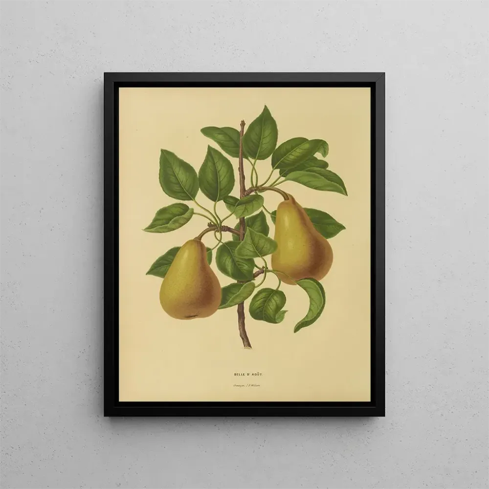 Maalaus Flore hollandaise et Pomone PL19 - Abraham Jacobus Wendel | Taidetuloste