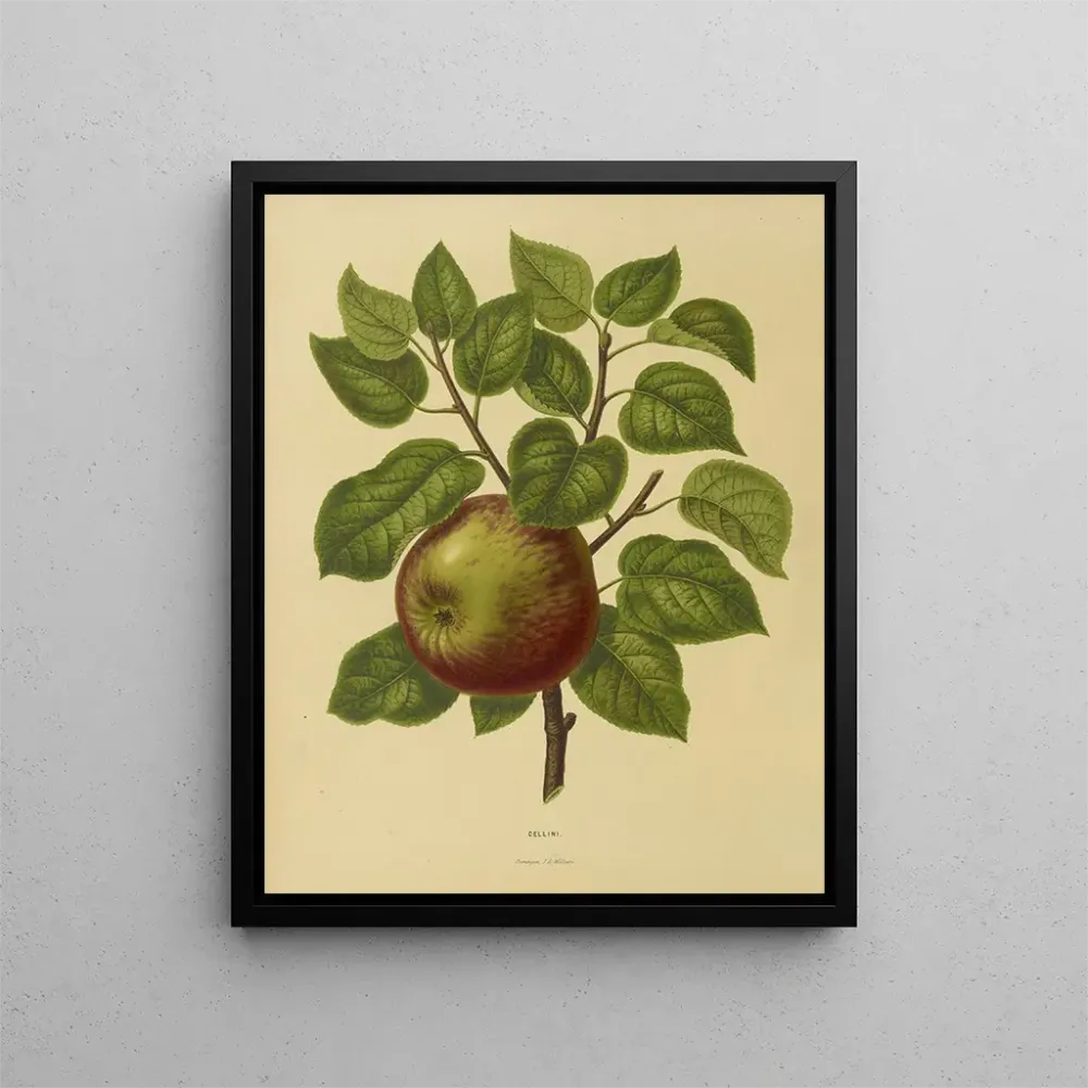 Maalaus Flore hollandaise et Pomone PL20 - Abraham Jacobus Wendel | Taidetuloste