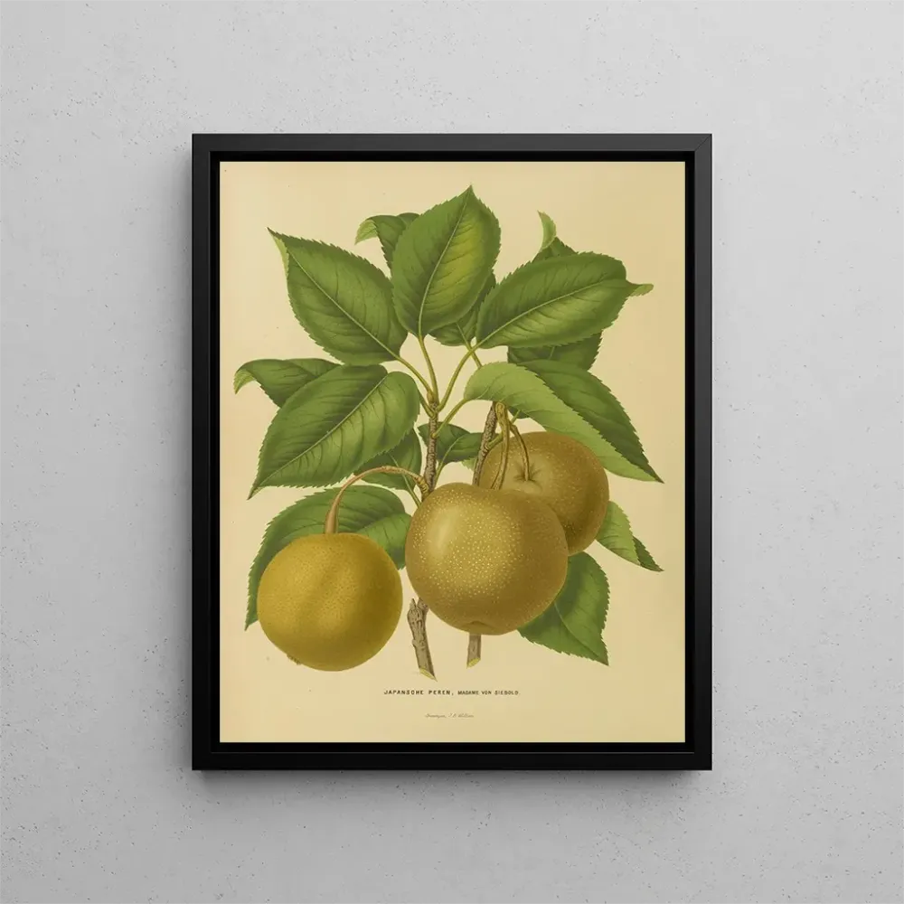 Maalaus Flore hollandaise et Pomone PL21 - Abraham Jacobus Wendel | Taidetuloste