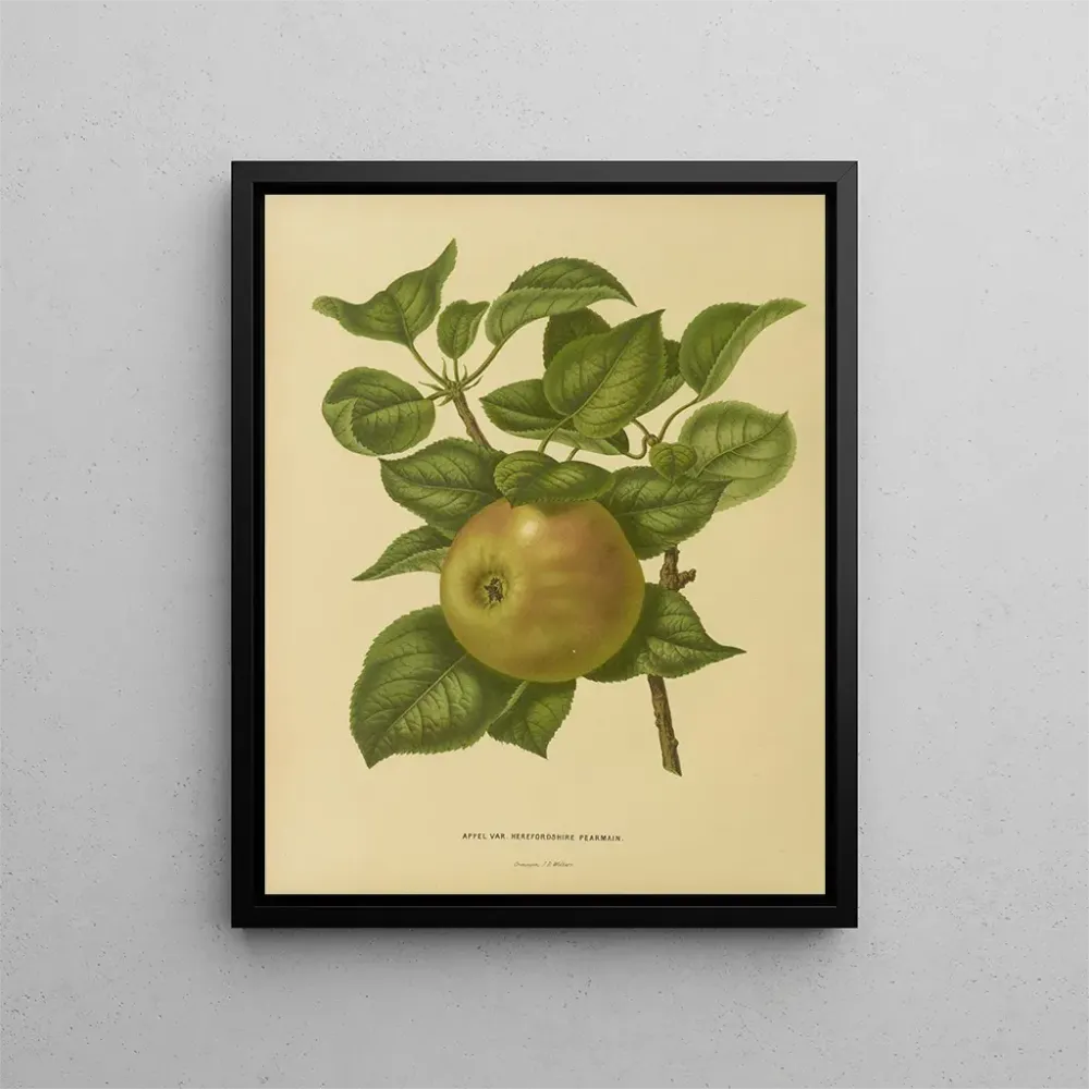 Maalaus Flore hollandaise et Pomone PL23 - Abraham Jacobus Wendel | Taidetuloste