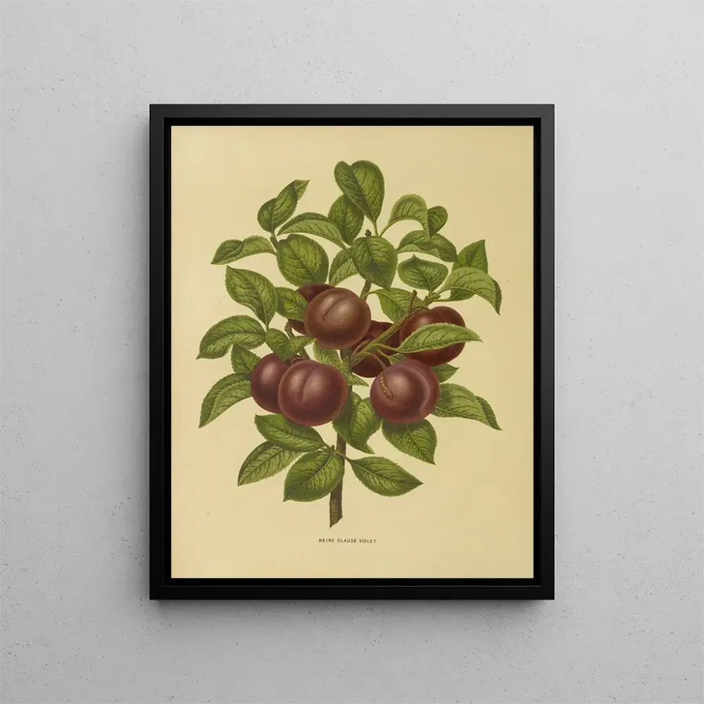 Maalaus Flore hollandaise et Pomone PL24 - Abraham Jacobus Wendel | Taidetuloste