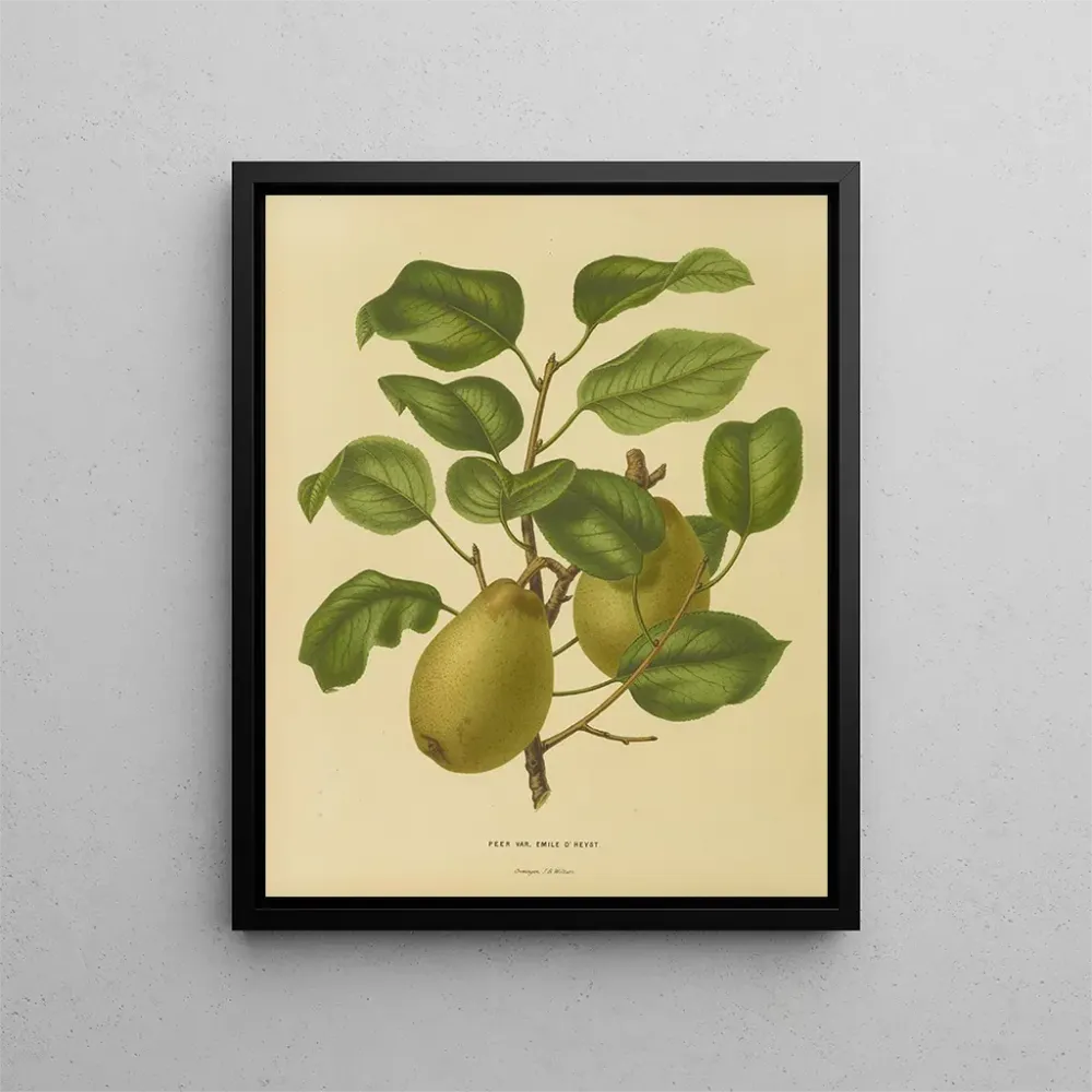 Maalaus Flore hollandaise et Pomone PL25 - Abraham Jacobus Wendel | Taidetuloste