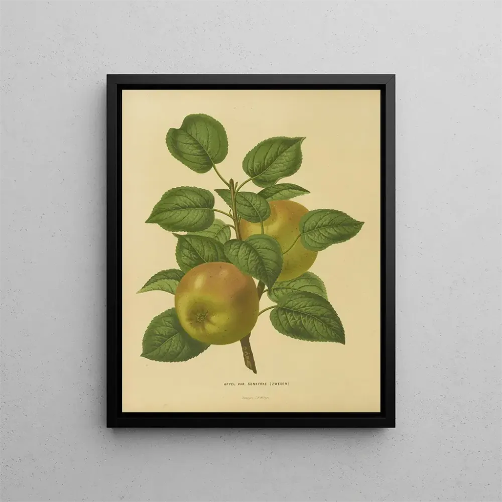 Maalaus Flore hollandaise et Pomone PL27 - Abraham Jacobus Wendel | Taidetuloste