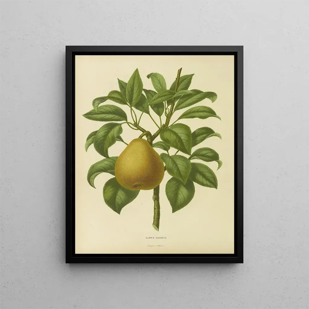 Maalaus Flore hollandaise et Pomone PL28 - Abraham Jacobus Wendel | Taidetuloste