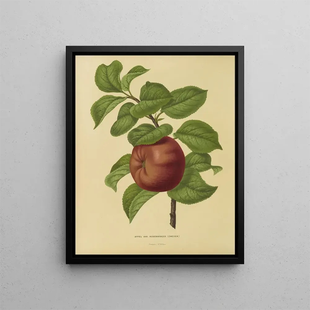 Maalaus Flore hollandaise et Pomone PL29 - Abraham Jacobus Wendel | Taidetuloste
