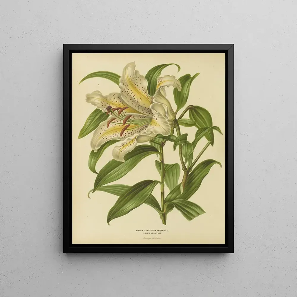 Maalaus Flore hollandaise et Pomone PL30 - Abraham Jacobus Wendel | Taidetuloste
