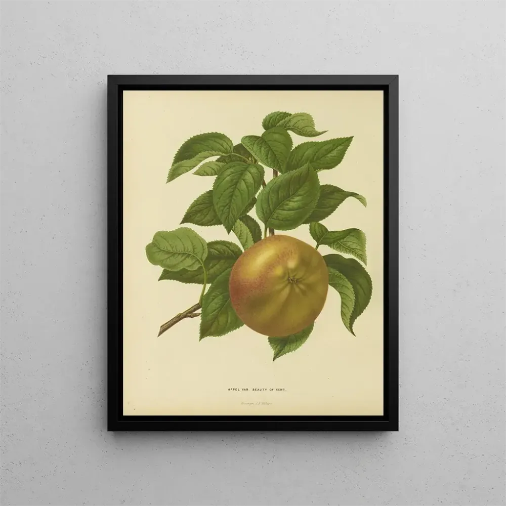 Maalaus Flore hollandaise et Pomone PL31 - Abraham Jacobus Wendel | Taidetuloste