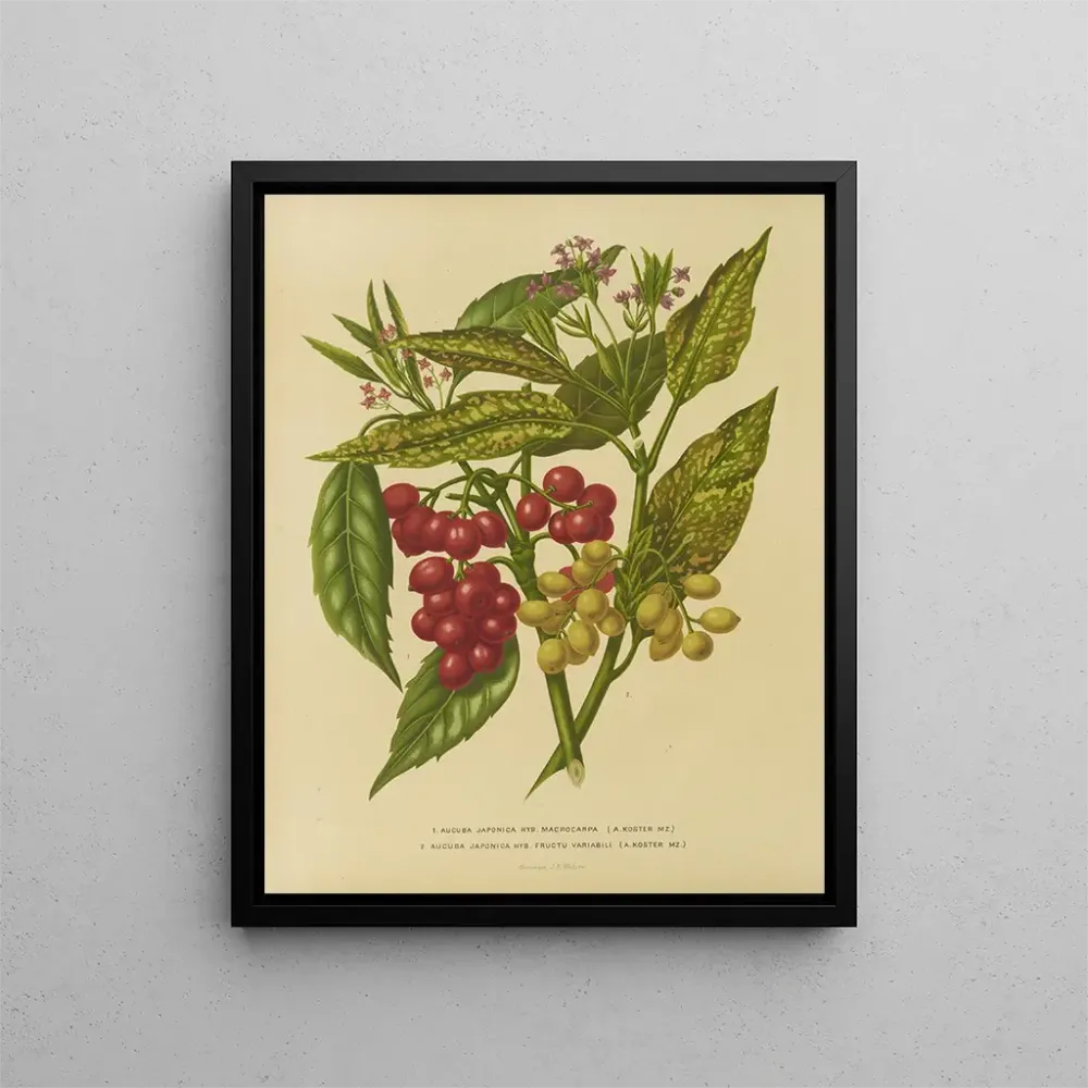 Maalaus Flore hollandaise et Pomone PL34 - Abraham Jacobus Wendel | Taidetuloste