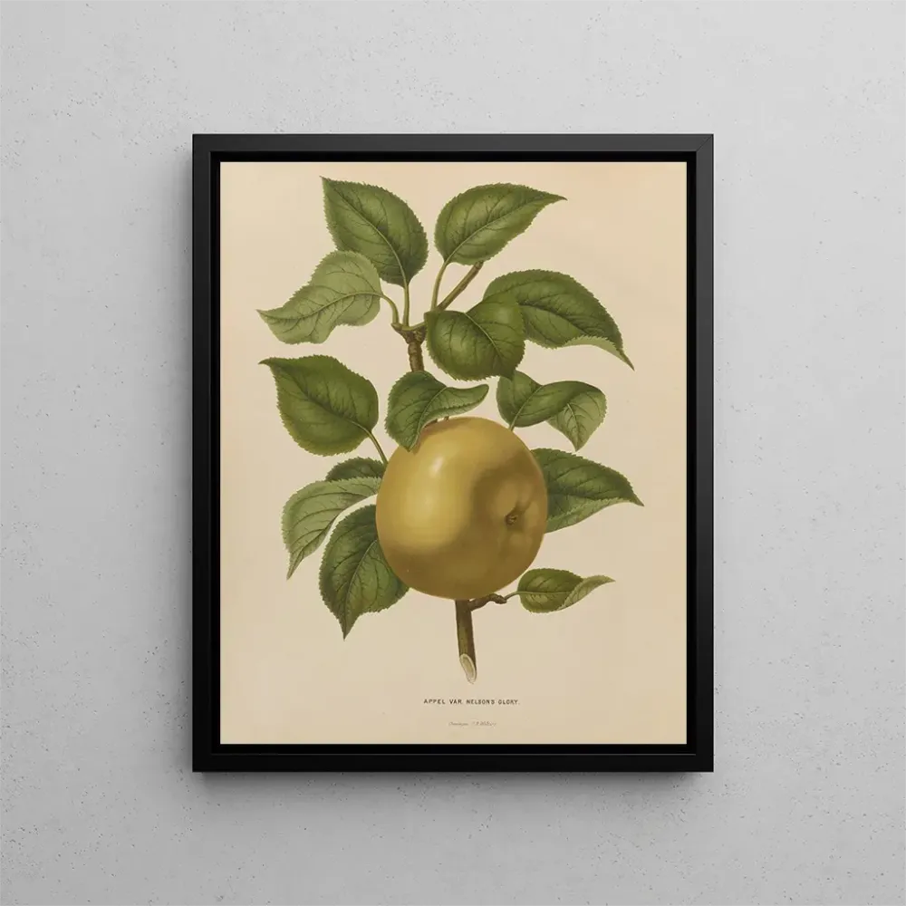 Maalaus Flore hollandaise et Pomone PL38 - Abraham Jacobus Wendel | Taidetuloste