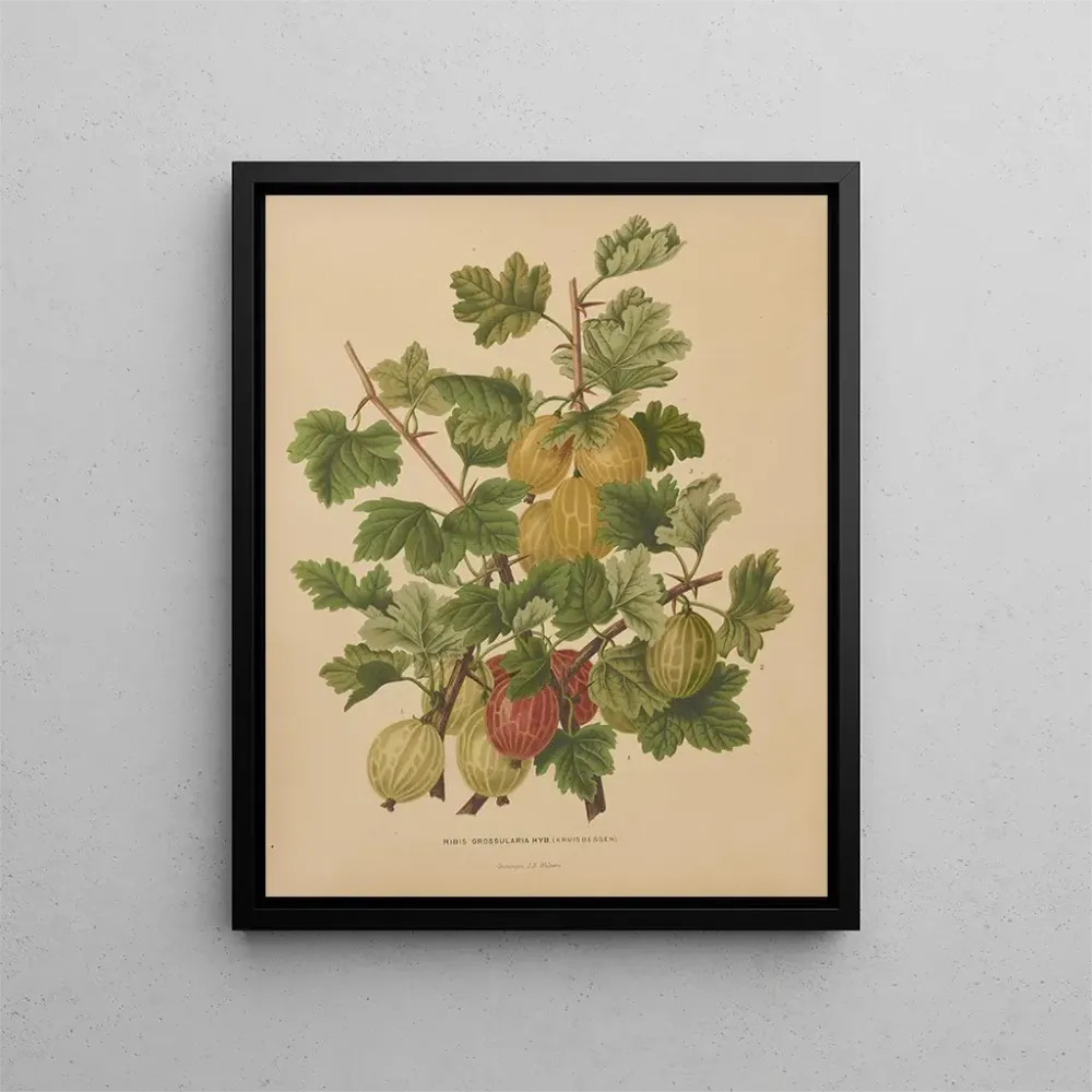Maalaus Flore hollandaise et Pomone PL47 - Abraham Jacobus Wendel | Taidetuloste