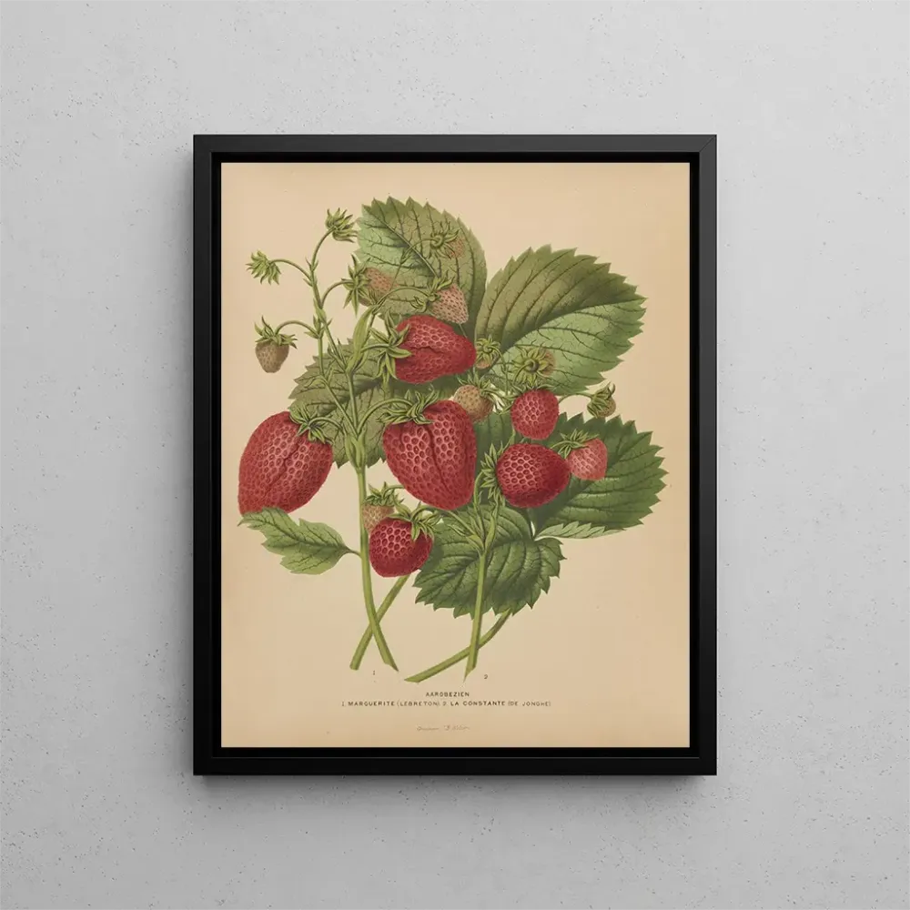 Maalaus Flore hollandaise et Pomone PL48 - Abraham Jacobus Wendel | Taidetuloste