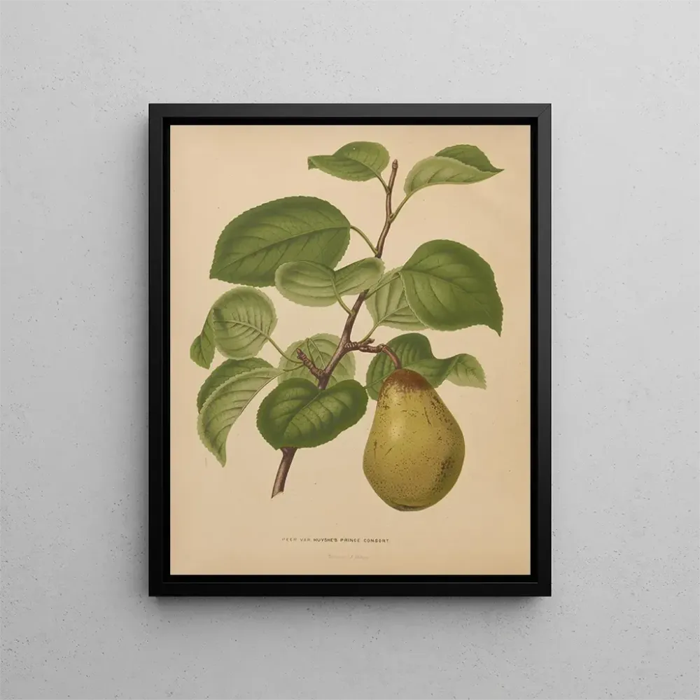 Maalaus Flore hollandaise et Pomone PL55 - Abraham Jacobus Wendel | Taidetuloste