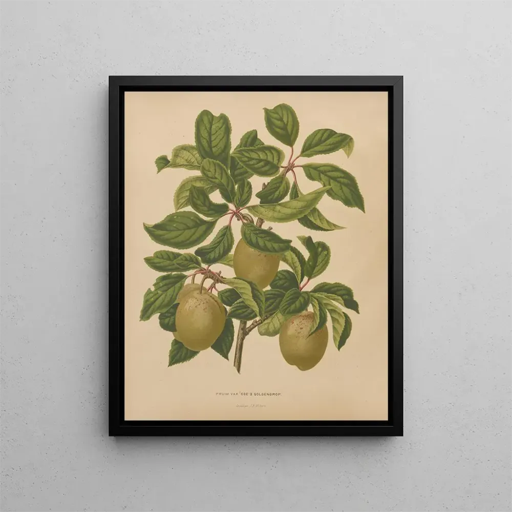 Maalaus Flore hollandaise et Pomone PL57 - Abraham Jacobus Wendel | Taidetuloste