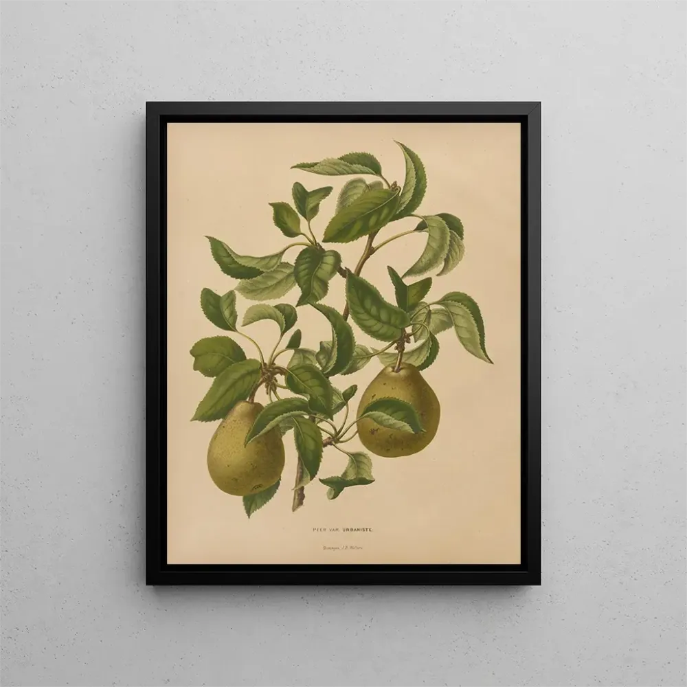Maalaus Flore hollandaise et Pomone PL59 - Abraham Jacobus Wendel | Taidetuloste