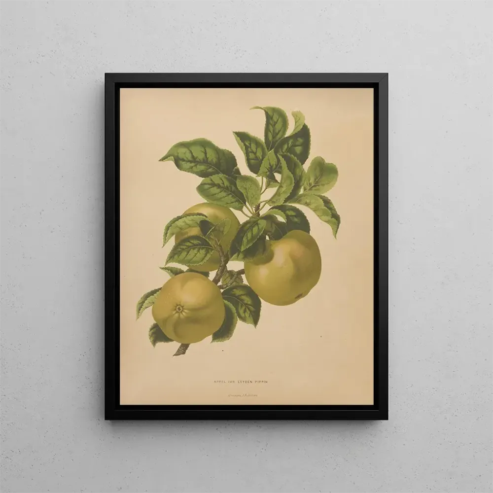 Maalaus Flore hollandaise et Pomone PL67 - Abraham Jacobus Wendel | Taidetuloste