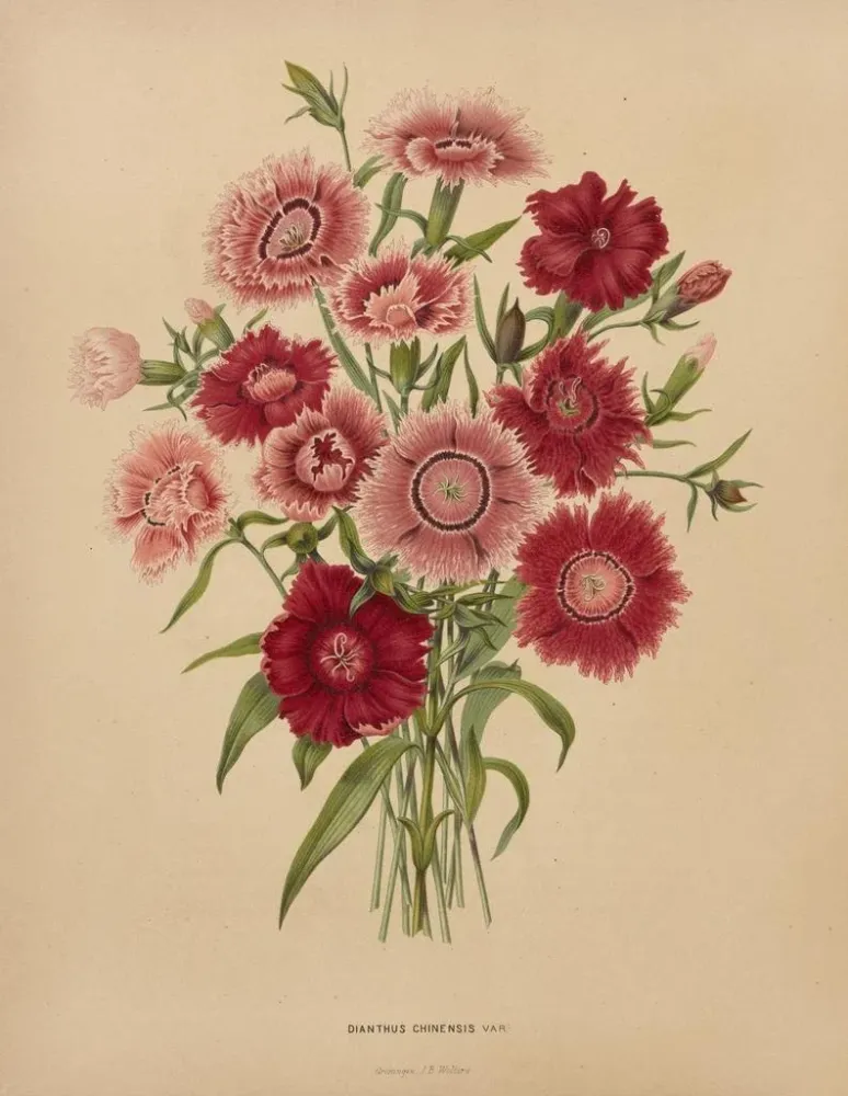 Maalaus Flore hollandaise et Pomone PL68 - Abraham Jacobus Wendel | Taidetuloste
