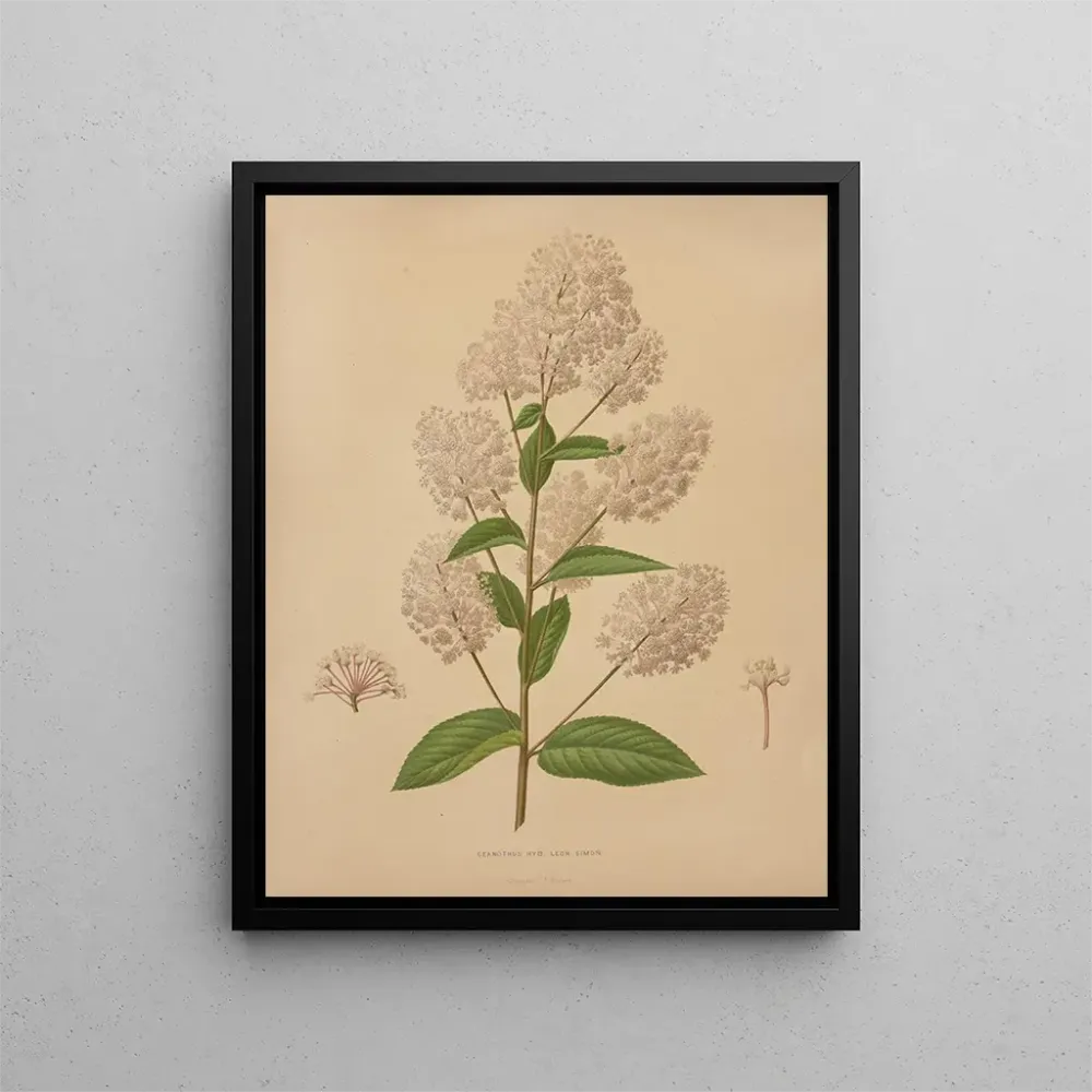 Maalaus Flore hollandaise et Pomone PL72 - Abraham Jacobus Wendel | Taidetuloste