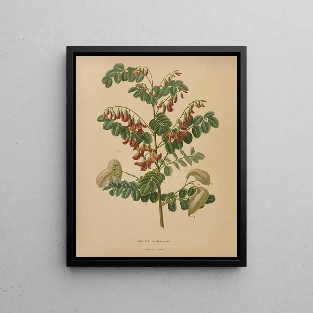 Maalaus Flore hollandaise et Pomone PL73 - Abraham Jacobus Wendel | Taidetuloste